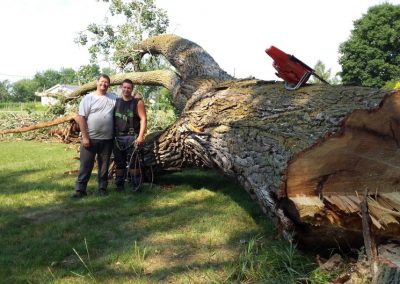 Service émondage, élagage et abattage d'arbre à Montréal, Laval, la Rive-Nord, Terrebonne, Repentigny, dans Lanaudière et ses environs - Service d'Arbres Stéphane