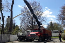 Service d'abattage d'arbre spécialisé et dangereux taillés sur mesure à Montréal, Laval, Rive-Nord et Lanaudière - Services Arbres Stephane - Abattage Arbre Montréal