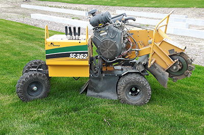 Service essouchage et dessouchage arbre et de haie et de haie de cèdres ou arbuste à Montréal, Laval, Terrebonne, Repentigny, Rive-Nord et Lanaudière - Services d'Arbres Stéphane 