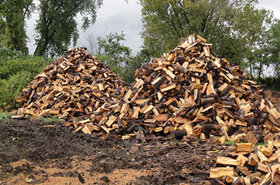 Vente de bois de chauffage et de foyer à Montréal, Laval, Rive-Nord, Lanaudière - Abattage Arbre Montréal - Services Arbres Stéphane