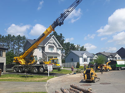 Entreprise abattage d'arbre dangereux à Montréal, Laval, Terrebonne, Repentigny, Rive-Nord et Lanaudière - Services d'Arbres Stéphane