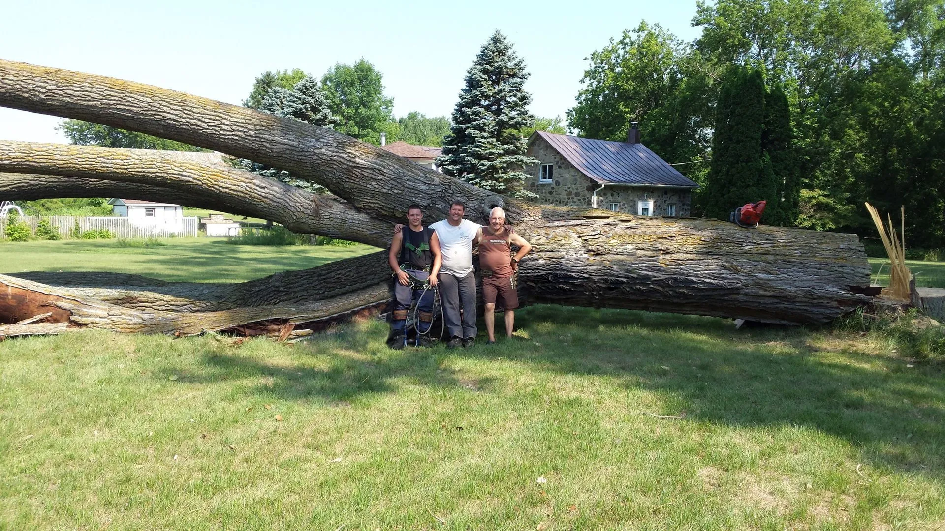 Service essouchage et dessouchage arbre et de haie et de haie de cèdres ou arbuste à Montréal, Laval, Terrebonne, Repentigny, Rive-Nord et Lanaudière - Services d'Arbres Stéphane 