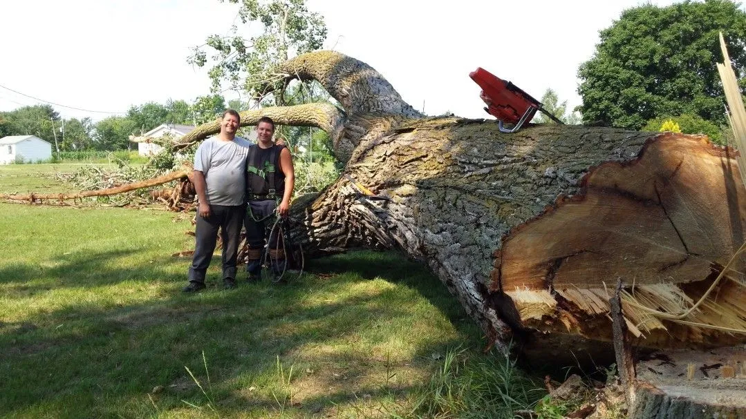 Entreprise d'émondage et abattage arbre familiale aux valeurs humaines - Services arbres Stephane - Abattage Arbre Montréal