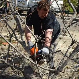 Entreprise de coupe et abattage d’arbre, élagage, émondage, essouchage, plantation, déboisement, plantation et de déchiquetage de branche à Montréal, Laval, Terrebonne, Repentigny, Rive-Nord et Lanaudière - Services d'Arbres Stéphane 