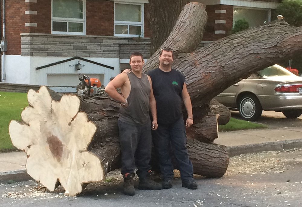 Customized tree felling and pruning service in Montreal, Laval, North Shore and Lanaudière - Services Arbres Stephane - Abattage Arbre Montréal