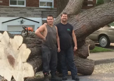 Entreprise de coupe et abattage d’arbre, élagage, émondage, essouchage, plantation, déboisement, plantation et de déchiquetage de branche à Montréal, Laval, Terrebonne, Repentigny, Rive-Nord et Lanaudière - Services d'Arbres Stéphane