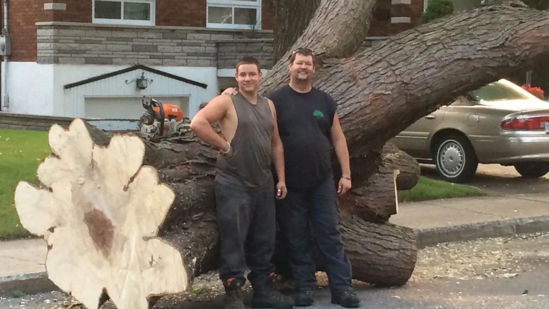 Service essouchage et dessouchage arbre et de haie et de haie de cèdres ou arbuste à Montréal, Laval, Terrebonne, Repentigny, Rive-Nord et Lanaudière - Services d'Arbres Stéphane 