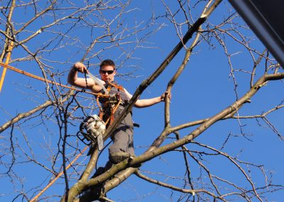 Arpenteur entrain de couper des branches avec une scie - Service Élagage à Montréal et ses alentours - Service Arbre Stéphane