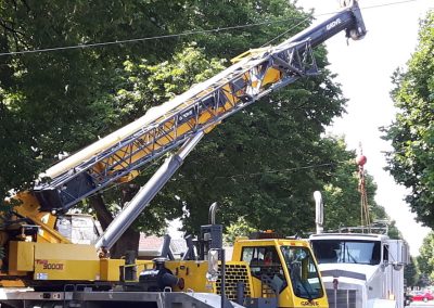 Abattage arbre avec aide de grue - Service Arbre Stéphane
