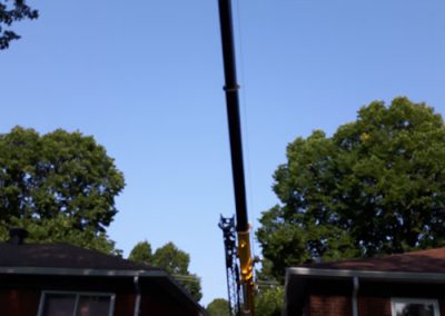 Abattage arbre avec aide de grue à Montréal - Service Arbre Stéphane