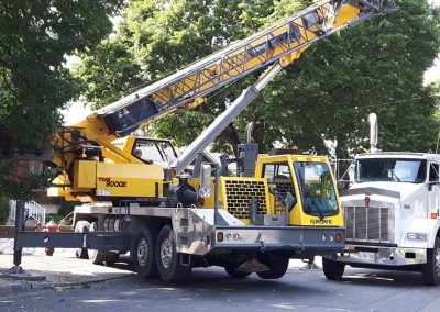 Abattage arbre avec aide de grue à Montréal et ses alentours - Service Arbre Stéphane