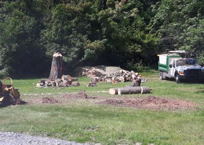 Utilisation de machinerie pour enlever un arbre - Service de coupe arbre à Montréal - Service arbre Stéphane
