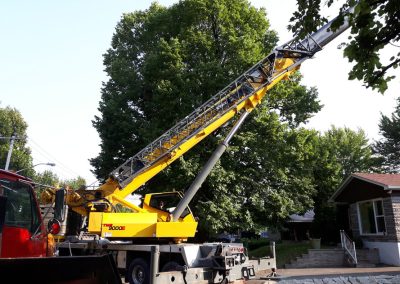Service abattage arbre et coupe de branches avec grue à Montréal - Service Arbre Stéphane