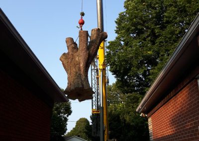 Service abattage arbre et coupe de branches avec grue à Montréal et ses environs - Service Arbre Stéphane