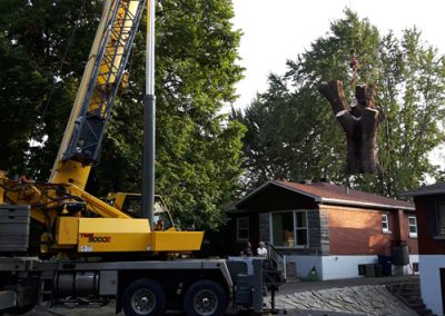 Service abattage arbre et coupe de branches avec grue dans la région de Montréal - Service Arbre Stéphane