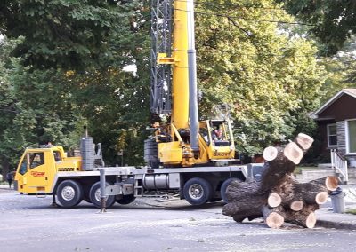 Service de coupe arbre avec Nacelle à Montréal et ses environs - Service Arbres Stéphane