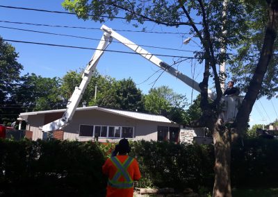 Camion émondage - Service émondage à Dorval - Service Arbre Stéphane