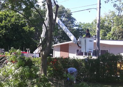 Camion émondage - Service émondage à Duvernay - Service Arbre Stéphane