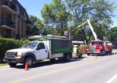 Camion émondage et de transport de bois en plein travail - Service émondage à Verdun - Service Arbre Stéphane