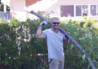 Émondeur a l'oeuvre - Service émondage à Wesmount - Service Arbre Stéphane