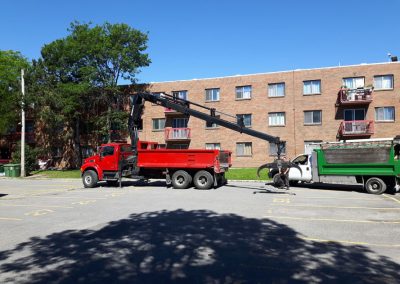 Grue transportant les billots de bois coupé - Service émondage à Mascouche et ses environs - Abattage Arbre Montréal