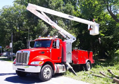 flotte de camion et d'équipement pour un service d'abattage arbre, émondage arbre et élagage arbre à Montréal, Laval, Rive-Nord et Lanaudière / Abattage Arbre Montréal
