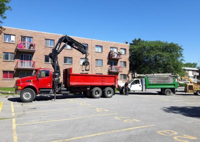 Émondage et coupe arbre à Outremont - Service Arbres Stéphane