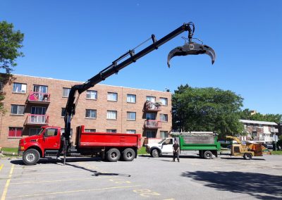 Émondage et coupe arbre à Rosemère - Service Arbres Stéphane