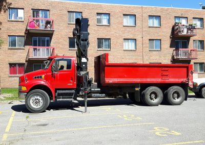 Émondage et coupe arbre à Westmount - Service Arbres Stéphane