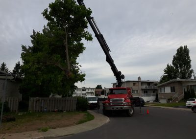 Service Émondage dans la grande région de Montréal - Service Arbres Stéphane