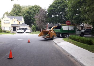 Service Émondage dans la région de Chomedey - Service Arbres Stéphane