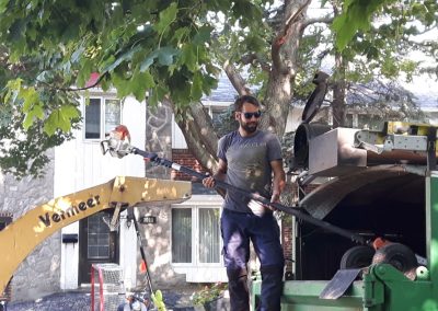 Employé avec outil de taille - Service de coupe et abattage arbre à Pointe-Clair - Service Arbre Stéphane