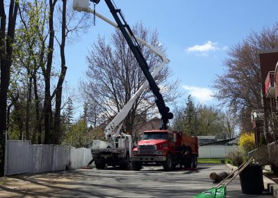 Service Émondage à Repentigny Rosemère et Terrebonne - Service Arbre Stéphane
