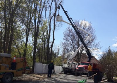 Service Émondage à Saint-Eustache Saint-Laurent et Sainte-Thérèse - Service Arbre Stéphane