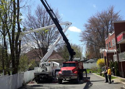 Service Émondage sur la Rive-Nord et la Rive-Sud de Montréal - Service Arbre Stéphane