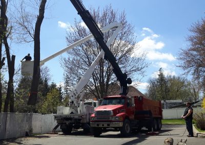 Abattage arbre en hauteur avec gru - Service abattage arbre à Laval et Montréal - Service d'Arbres Stéphane