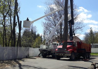 Abattage arbre en hauteur avec gru - Service abattage arbre à Saint-Laurent - Service d'Arbres Stéphane
