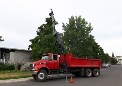 Service Abattage Arbre avec grue dans la grande région de Montréal ainsi que Laval et ses environs - Service d'Arbres Stephane