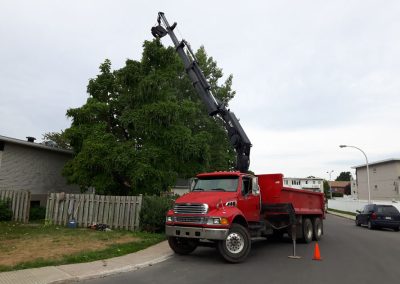 Service Abattage Arbre dans la grande région de Montréal ainsi que Laval et ses environs - Service d'Arbres Stephane