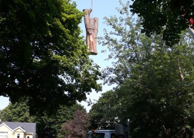 Service abattage Arbres de toute taille dans la grande région de Laval - Services Arbres Stéphane