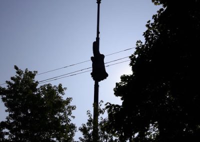 Service Émondage et abattage Arbre dans la région de Duvernay Lanaudière et Laval - Service d'arbres Stéphane