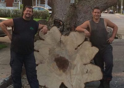 Service Émondage et abattage Arbre dans la région de Laval Lavaltrie et Montréal - Service d'arbres Stéphane